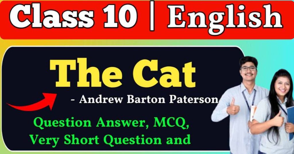 The Cat question answer