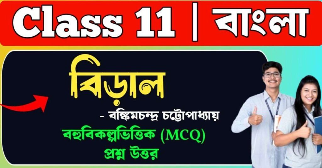 বিড়াল প্রবন্ধ প্রশ্ন উত্তর